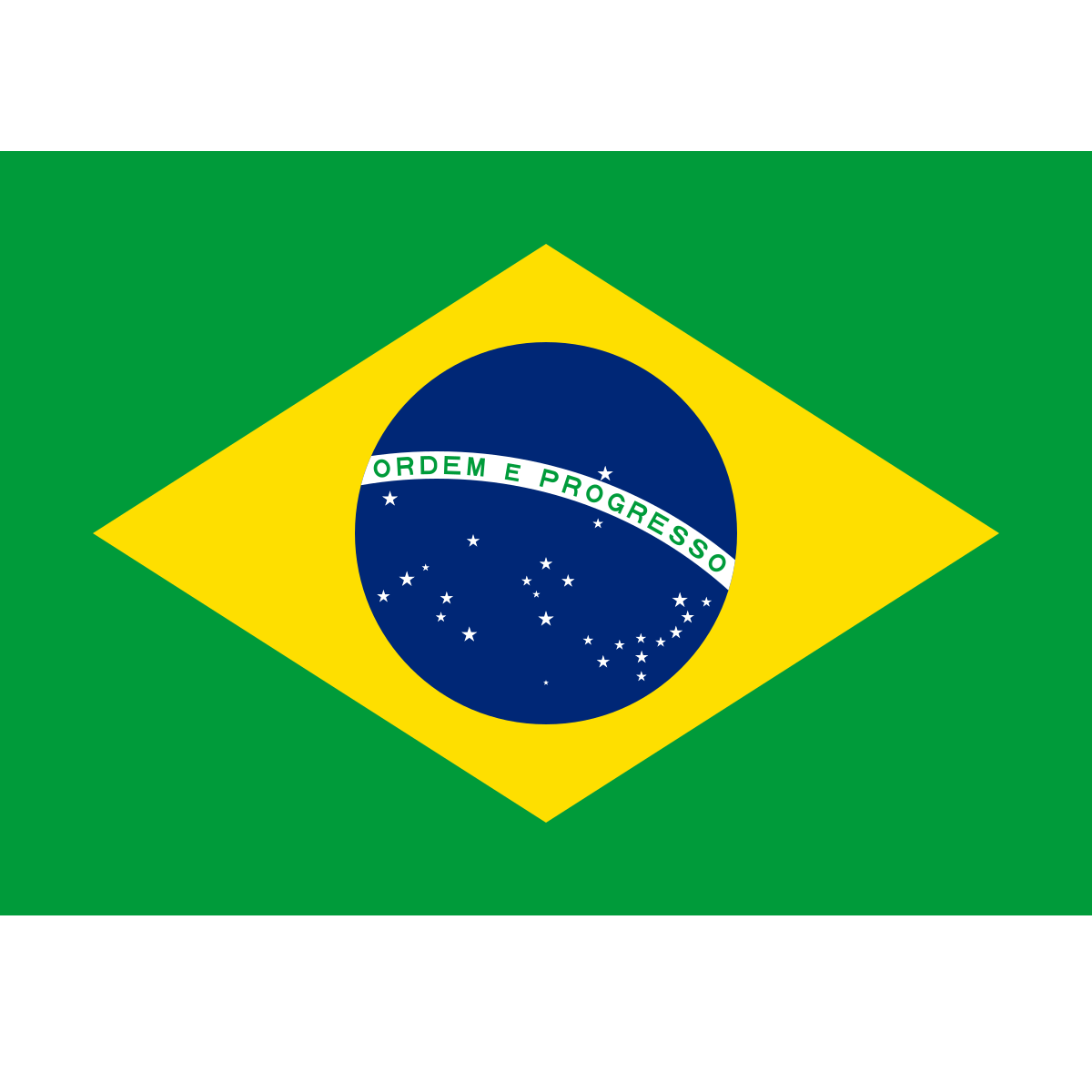 ProSoccer, Bandiera del Brasile